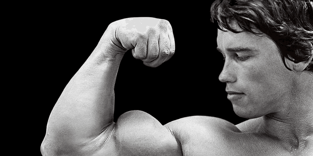Steel Force Bodybuilding