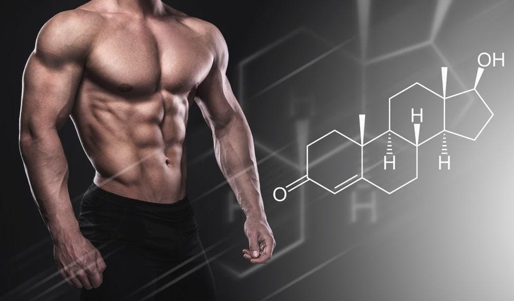 Testosterone & HGH Core Bodybuilding Hormones